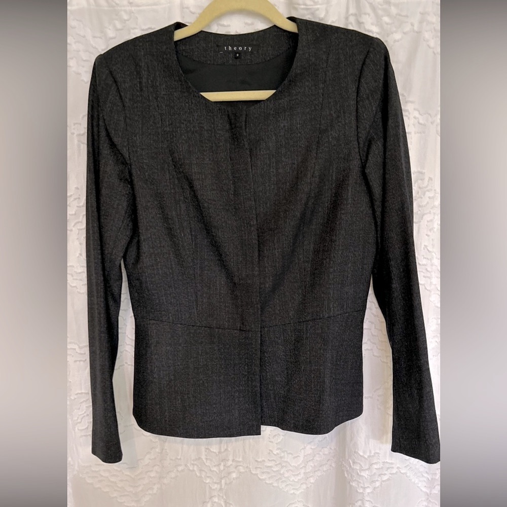 Theory Suit